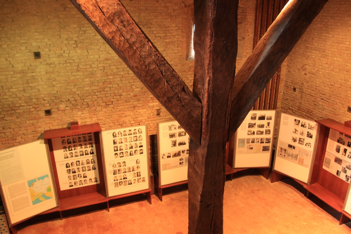 visit nonantola museo 00004
